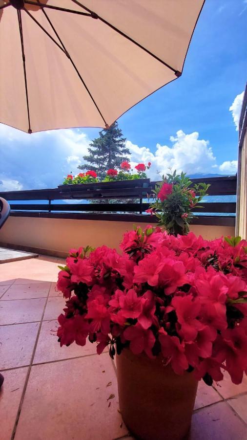 Nora S Home 4 - Panoramic Terrace & Bio Garden Merano Bagian luar foto