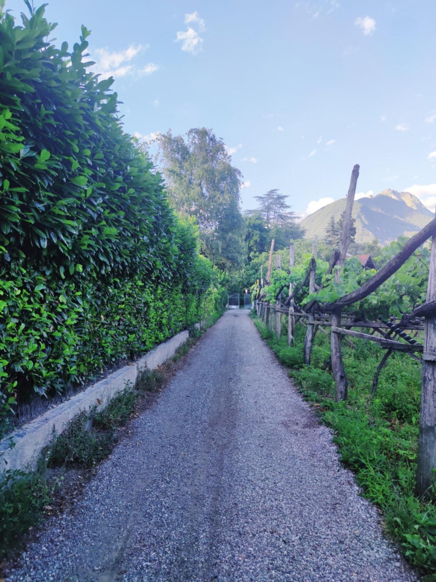 Nora S Home 4 - Panoramic Terrace & Bio Garden Merano Bagian luar foto